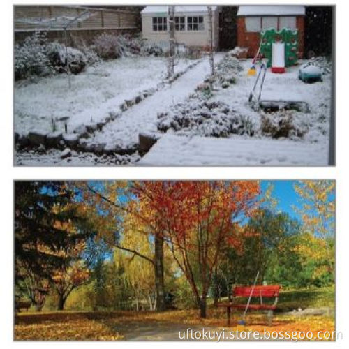 Stiff Broom, Snow Broom